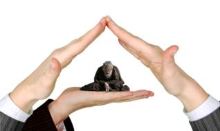 help poor hands roof