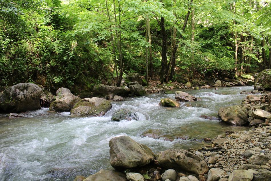 stones in a stormy river in the forest