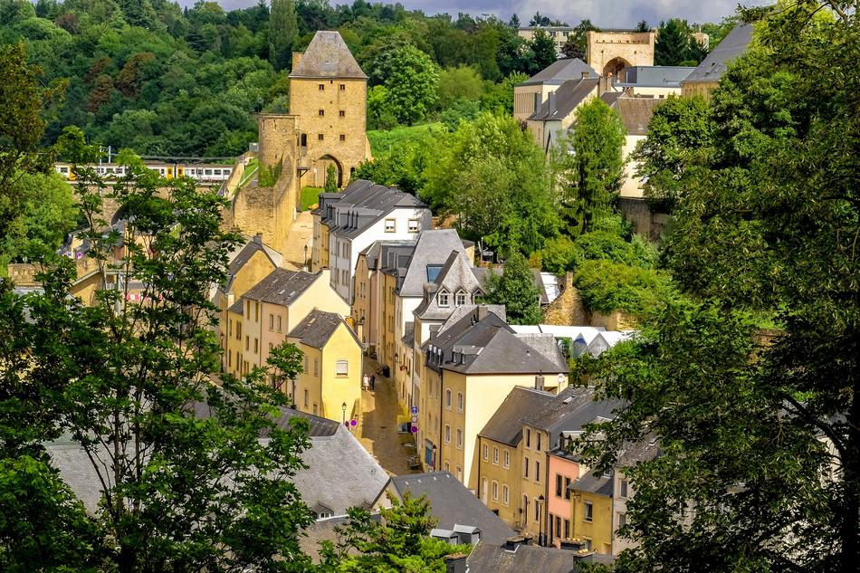 panoramic view of luxembourgish architecture in green trees