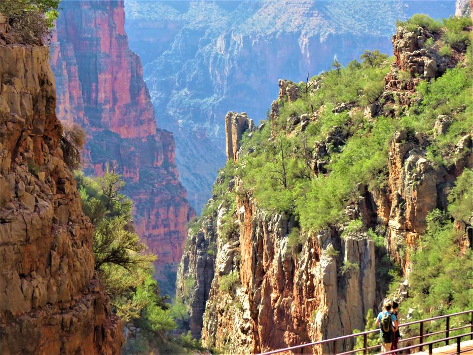 rocks trees mountains