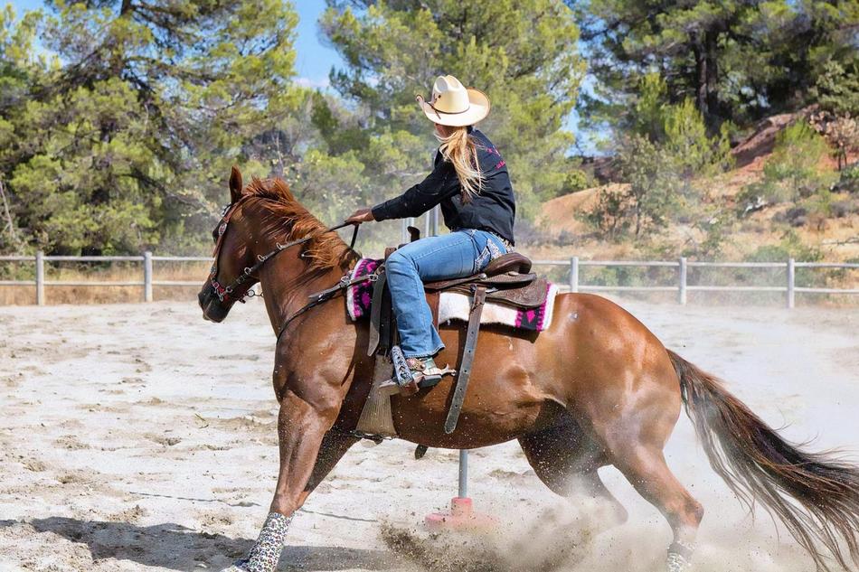 Horse Mane Equine