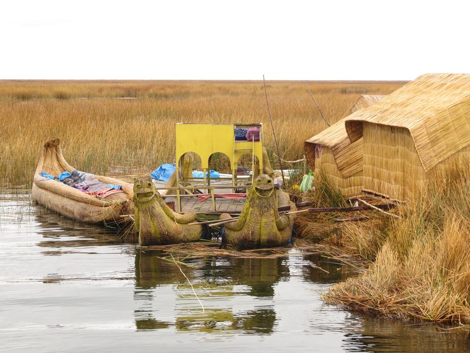 fishing boats in the river near the plants