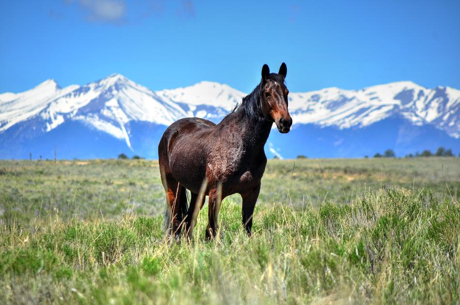 Horse Mountains Peaks