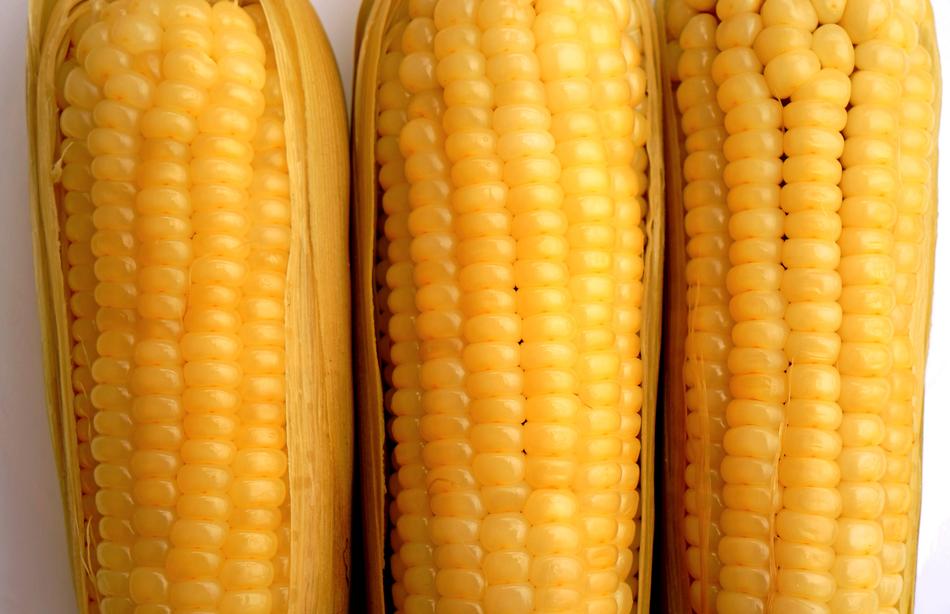 homemade boiled corn