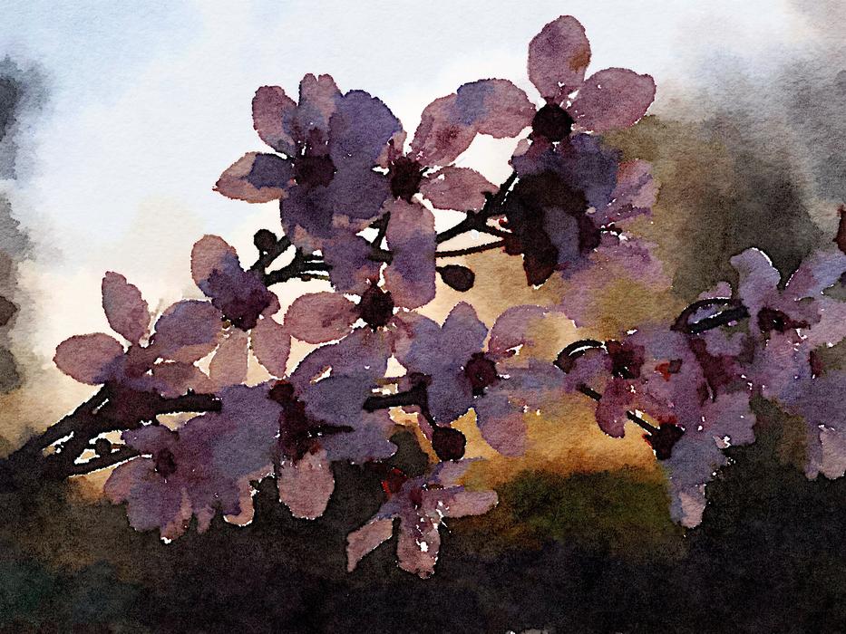 little flowers on a branch