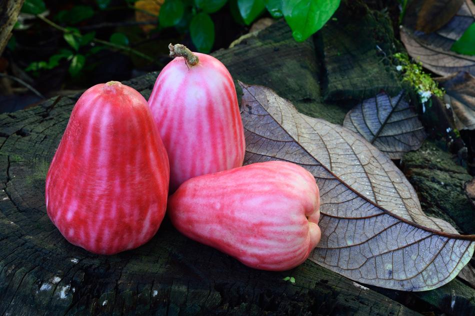 red sweet pears