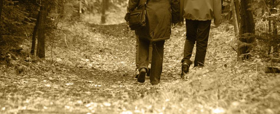 Autumn Walk Colours