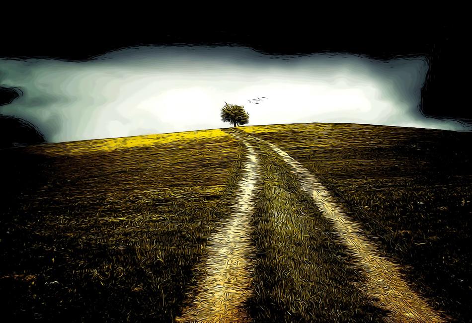 road grass wild nature landscape