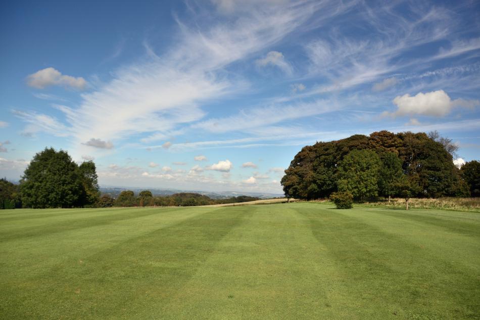 an empty meadow with trees