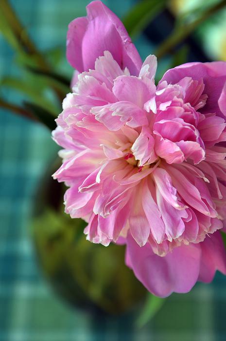 beautiful wavy flower