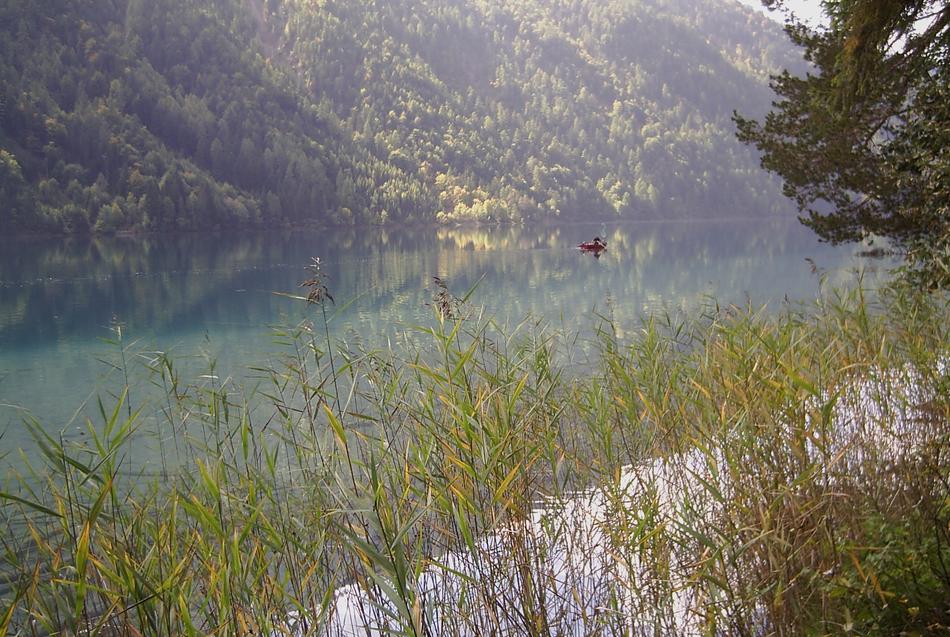 lake grass