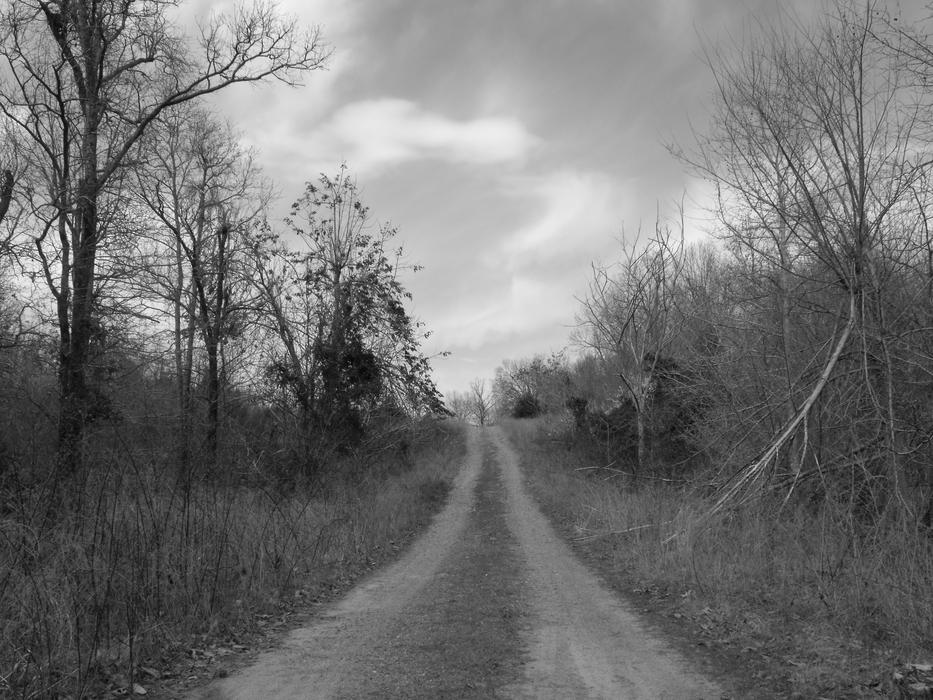 Road Country Black And White