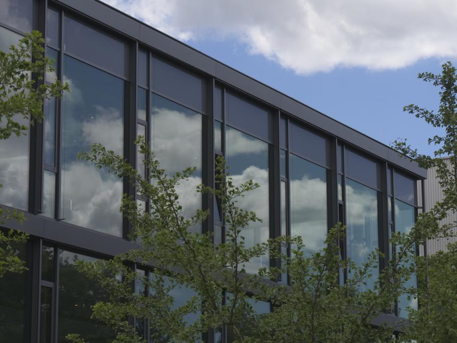 Window Reflection and green bush