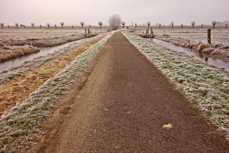 Road Country Bollards