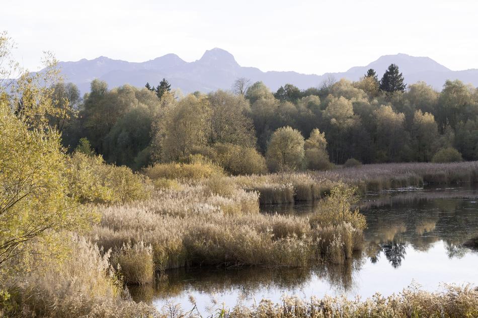 Autumn Nature Reserve Alpine free image download