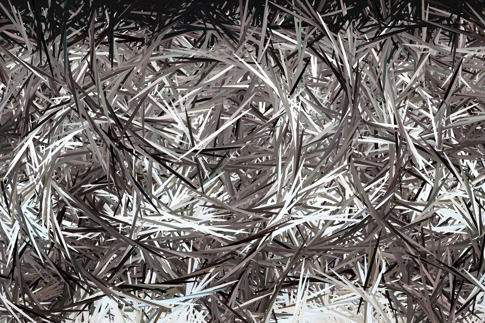 modern design black and white art