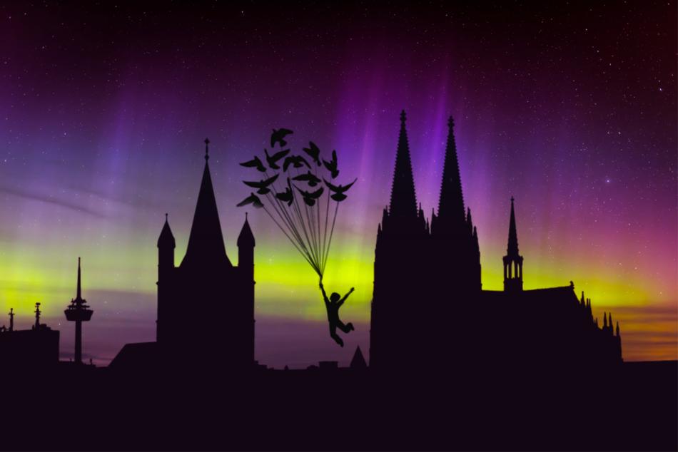 cologne northern lights