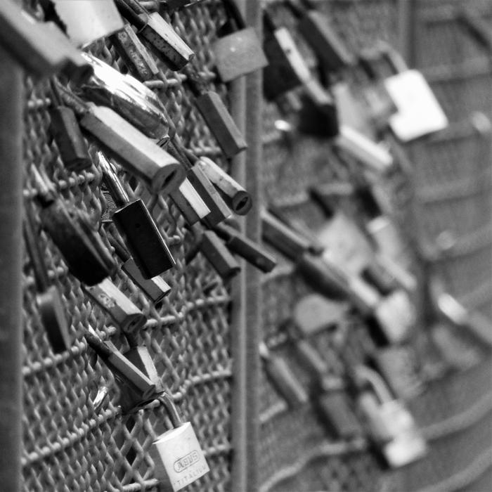 fence locks view