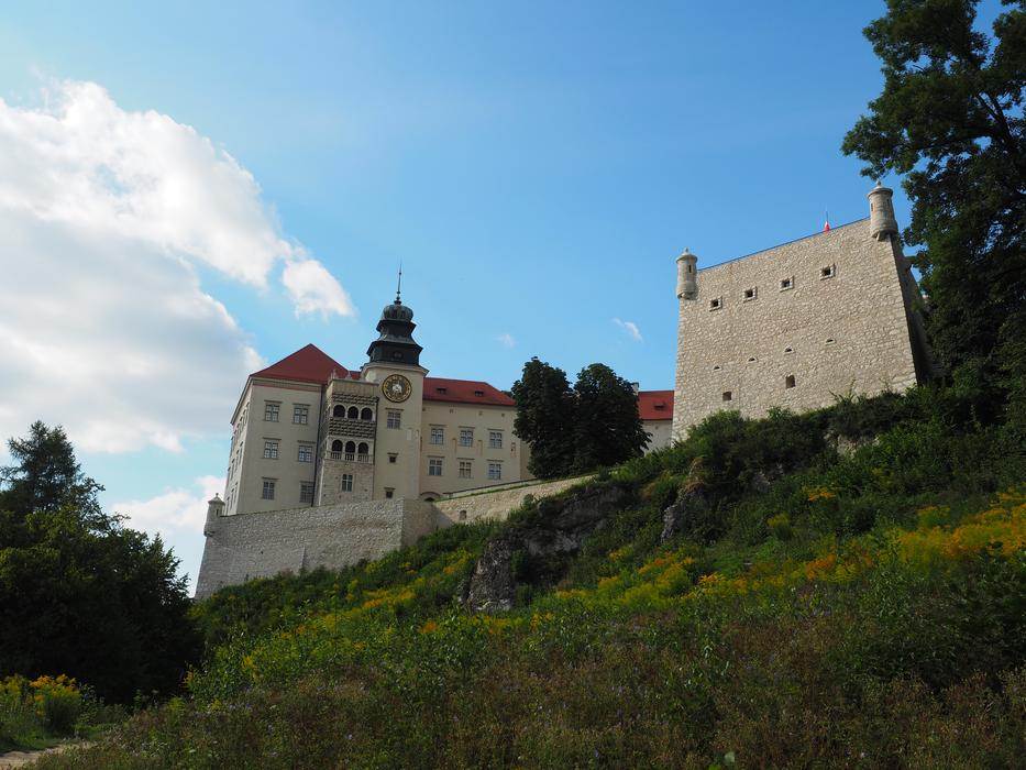 Beautiful palace among the green fields and trees