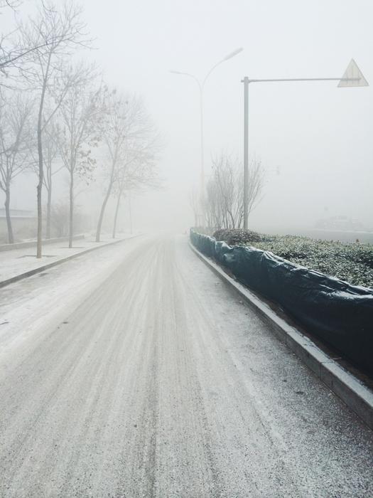 Snow Road