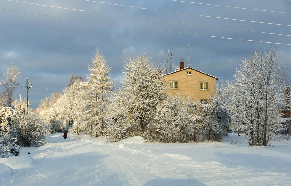 sweet home in the winter woods