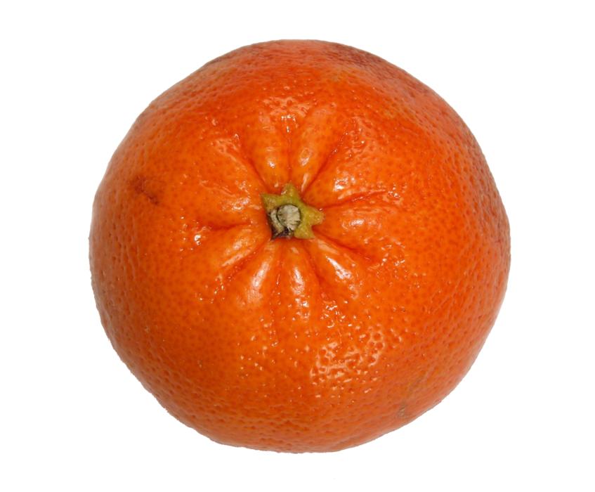 healthy citrus on a white background