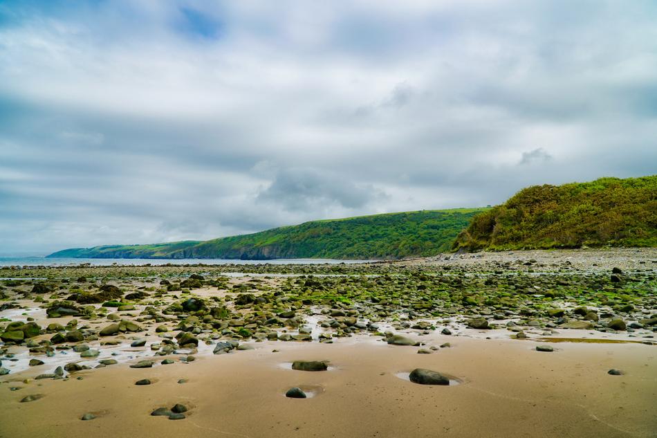 Beach Sand Rocks