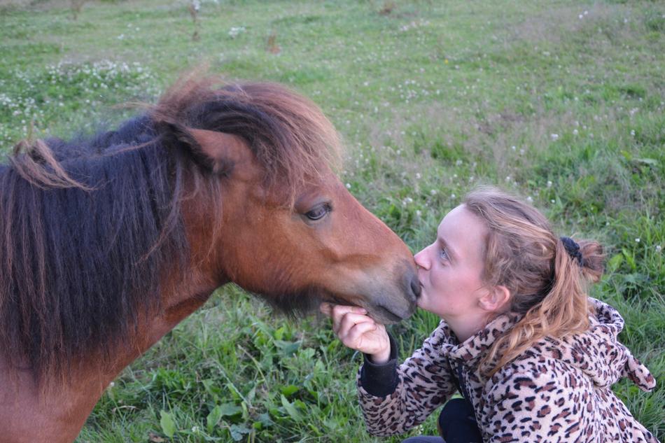 Complicity Kiss Domestic Animal