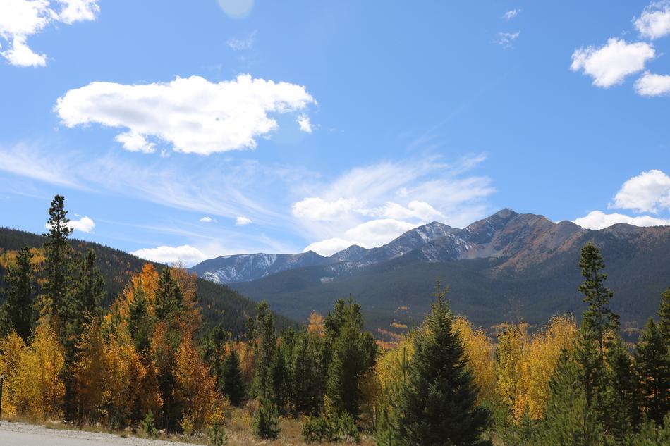Mountains Trees Landscape