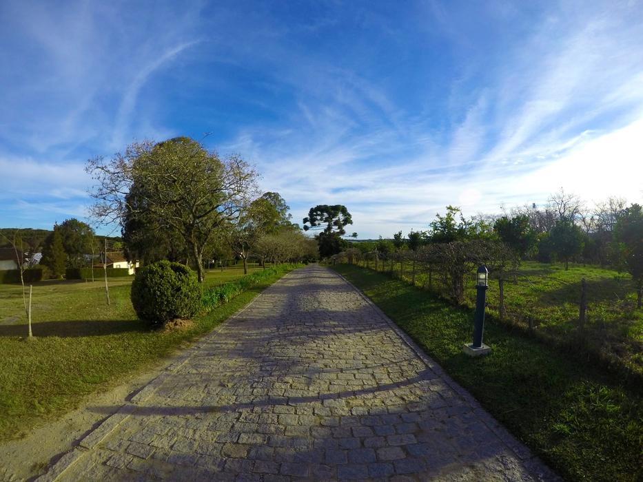 Road Field Path