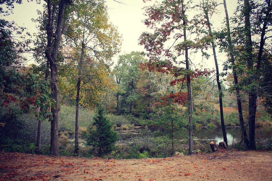 Autumn Fall Lake