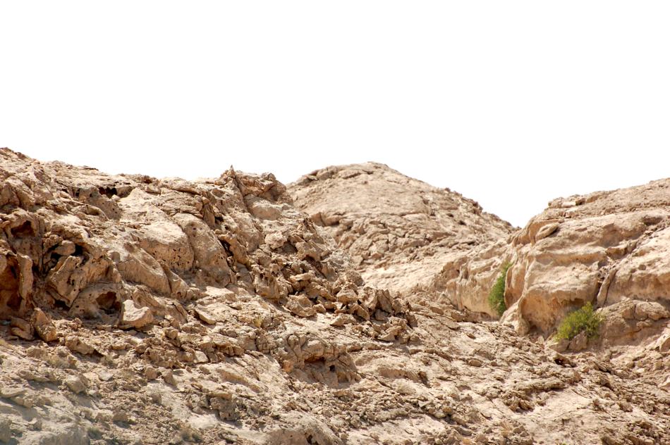 rocky terrain with mud