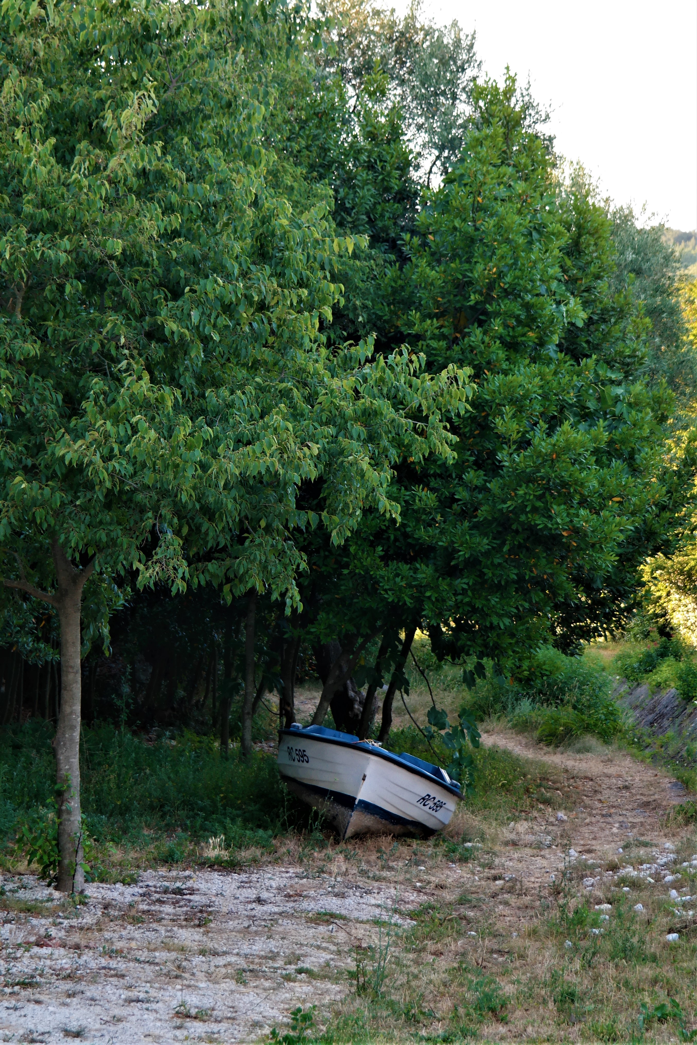 Boat Landscape Stranded free image download