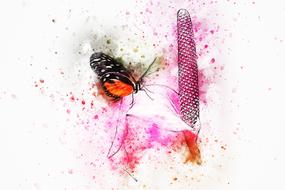 butterfly animal insect art