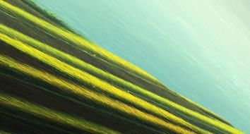 Abstract Pattern Line design
