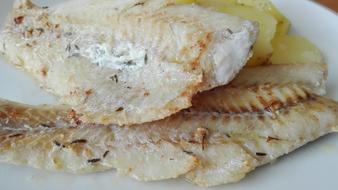 fillet of fish with spices