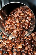 raw aromatic coffee beans