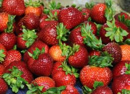 healthy ripe berries
