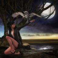 night woman bird owl landscape