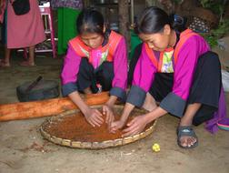 Tribal Women group