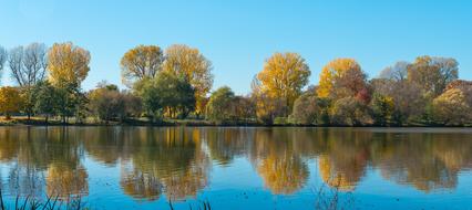 Autumn trees by the river