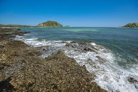 sea waves on the shore