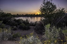 lake with trees and sunshine
