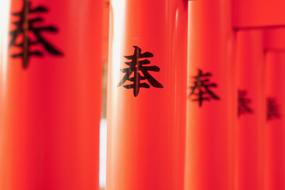 Shrine Japan Road