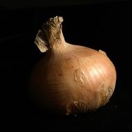Onions in shells on black background