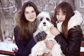 Dog White Snow