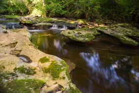 Nature Landscape Background