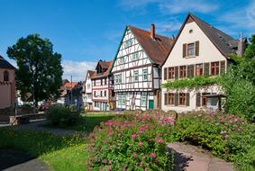 Beautiful and colorful houses, among the colorful and beautiful plants in Gelnhausen, Hesse, Germany