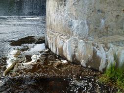 Cement dam near the water and plants