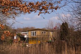 Hut House forest
